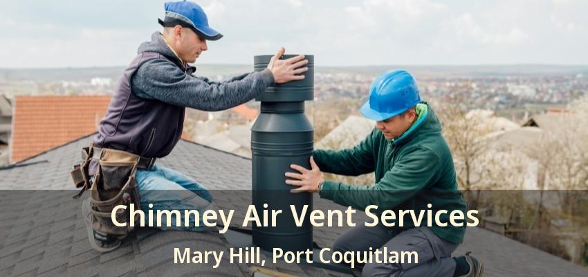 Chimney Air Vent Services Mary Hill, Port Coquitlam - BC