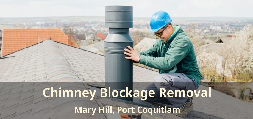 Chimney Blockage Removal Mary Hill, Port Coquitlam - BC