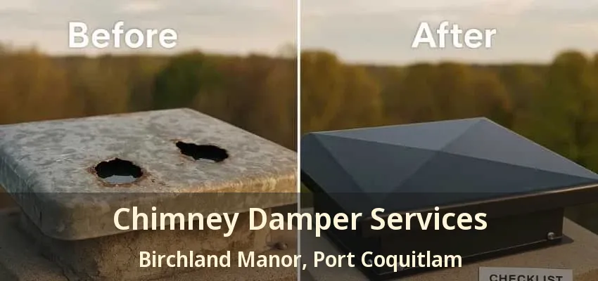 Chimney Damper Services Birchland Manor, Port Coquitlam - BC