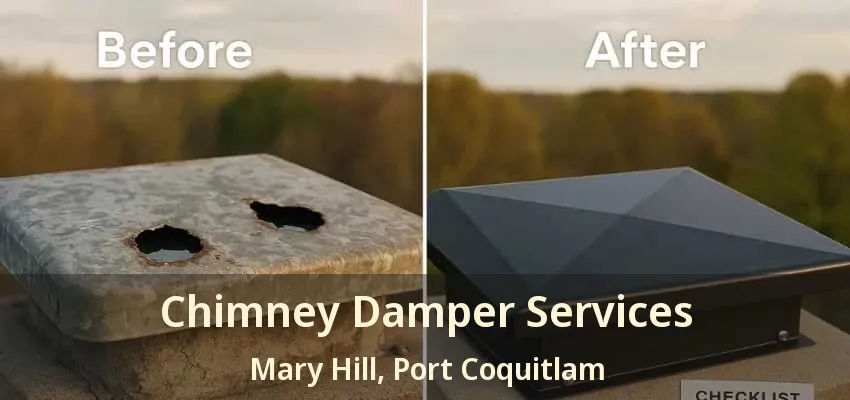 Chimney Damper Services Mary Hill, Port Coquitlam - BC