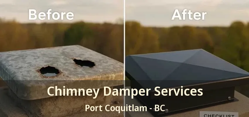 Chimney Damper Services Port Coquitlam - BC