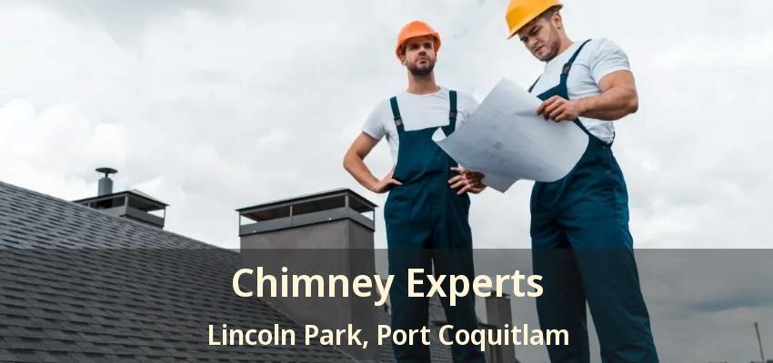 Chimney Experts Lincoln Park, Port Coquitlam - BC