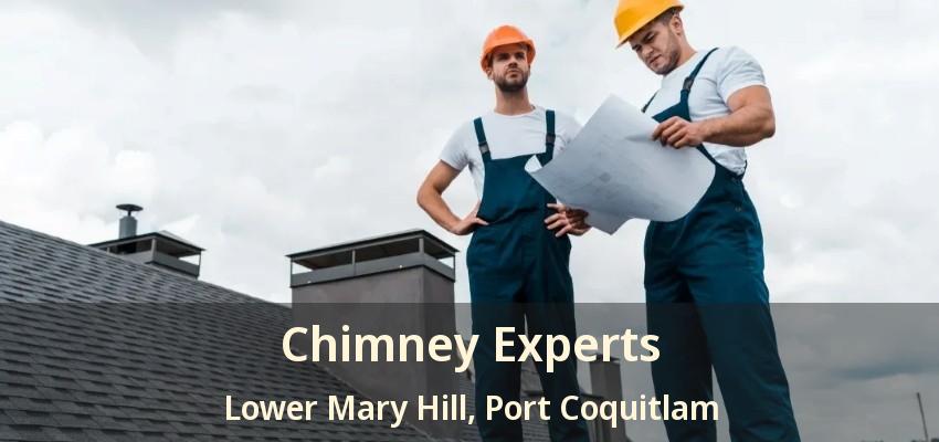 Chimney Experts Lower Mary Hill, Port Coquitlam - BC