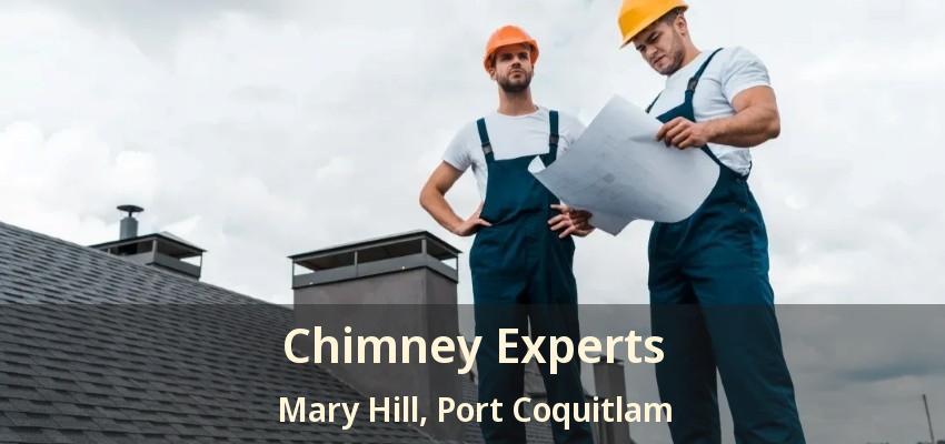 Chimney Experts Mary Hill, Port Coquitlam - BC
