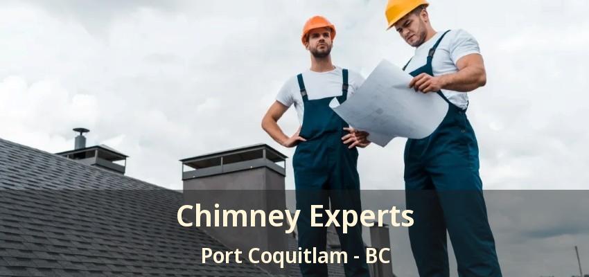 Chimney Experts Port Coquitlam - BC