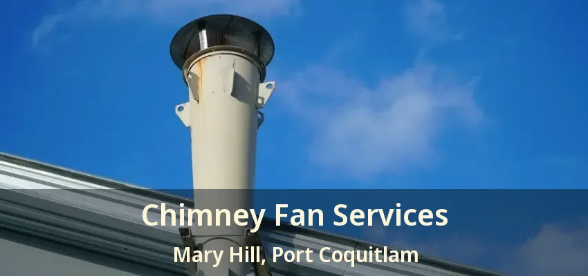 Chimney Fan Services Mary Hill, Port Coquitlam - BC