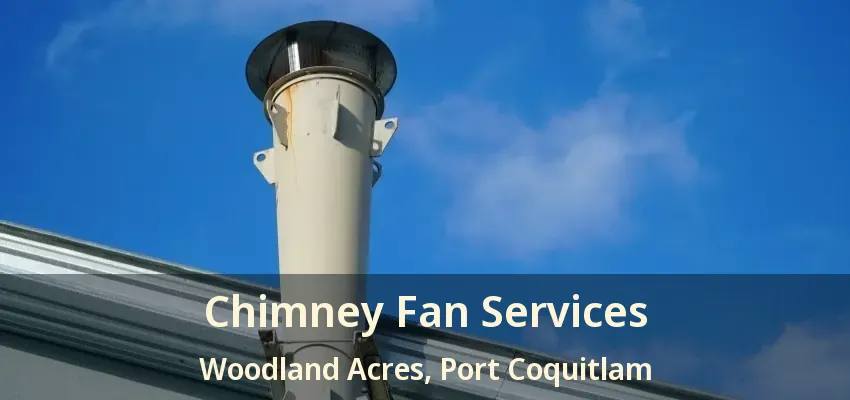 Chimney Fan Services Woodland Acres, Port Coquitlam - BC