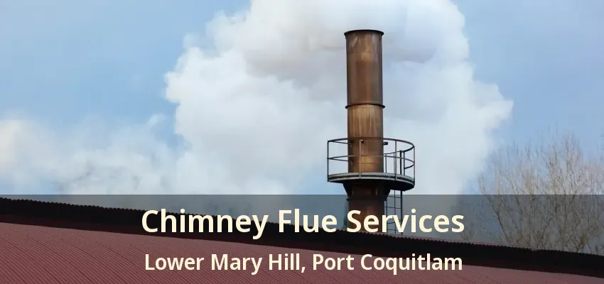 Chimney Flue Services Lower Mary Hill, Port Coquitlam - BC