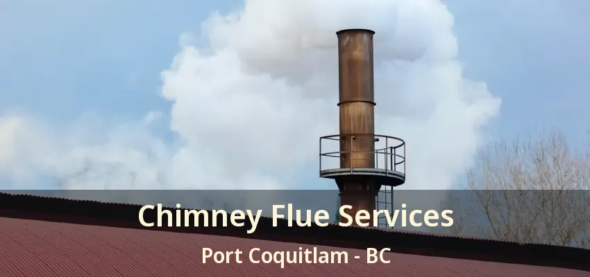 Chimney Flue Services Port Coquitlam - BC