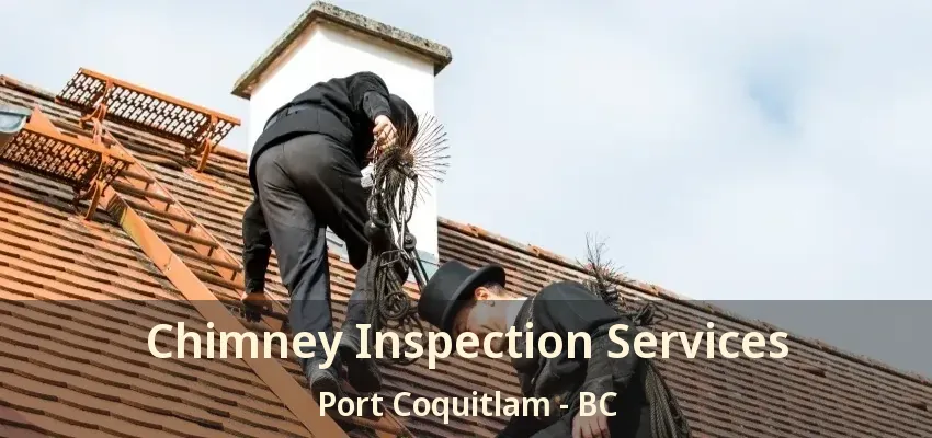 Chimney Inspection Services Port Coquitlam - BC