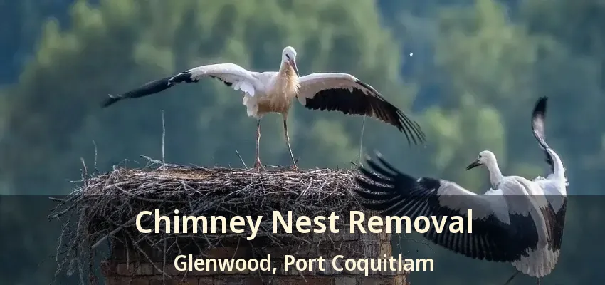 Chimney Nest Removal Glenwood, Port Coquitlam - BC