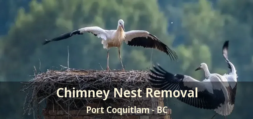 Chimney Nest Removal Port Coquitlam - BC