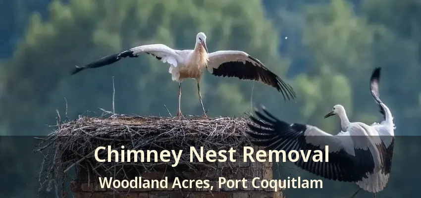 Chimney Nest Removal Woodland Acres, Port Coquitlam - BC