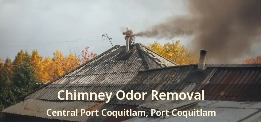 Chimney Odor Removal Central Port Coquitlam, Port Coquitlam - BC