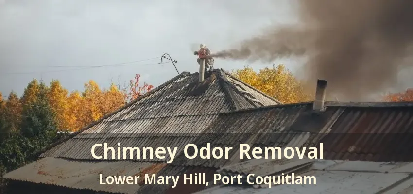 Chimney Odor Removal Lower Mary Hill, Port Coquitlam - BC