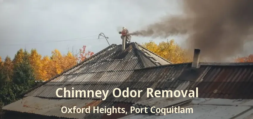 Chimney Odor Removal Oxford Heights, Port Coquitlam - BC