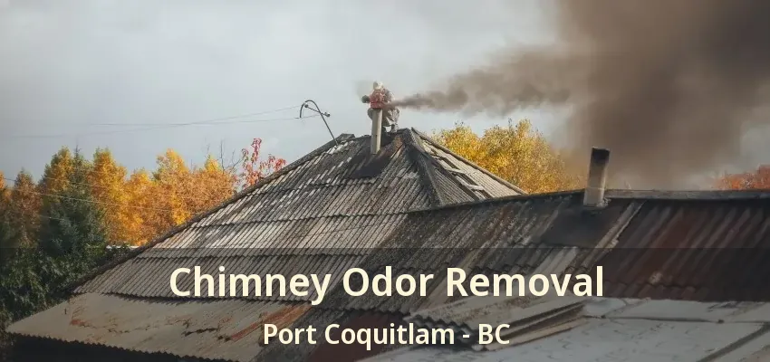 Chimney Odor Removal Port Coquitlam - BC