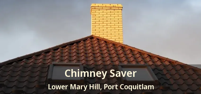 Chimney Saver Lower Mary Hill, Port Coquitlam - BC