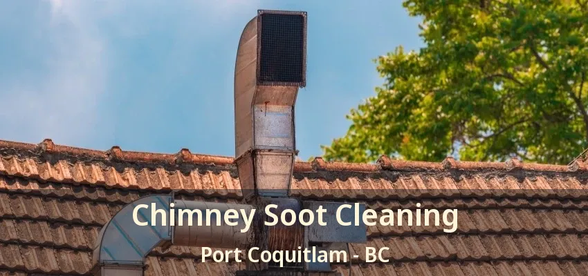 Chimney Soot Cleaning Port Coquitlam - BC