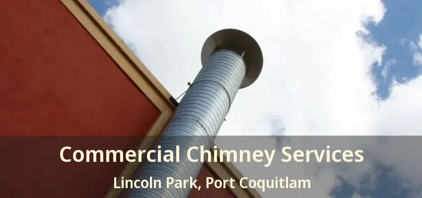 Commercial Chimney Services Lincoln Park, Port Coquitlam - BC