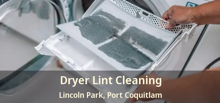 Dryer Lint Cleaning Lincoln Park, Port Coquitlam - BC