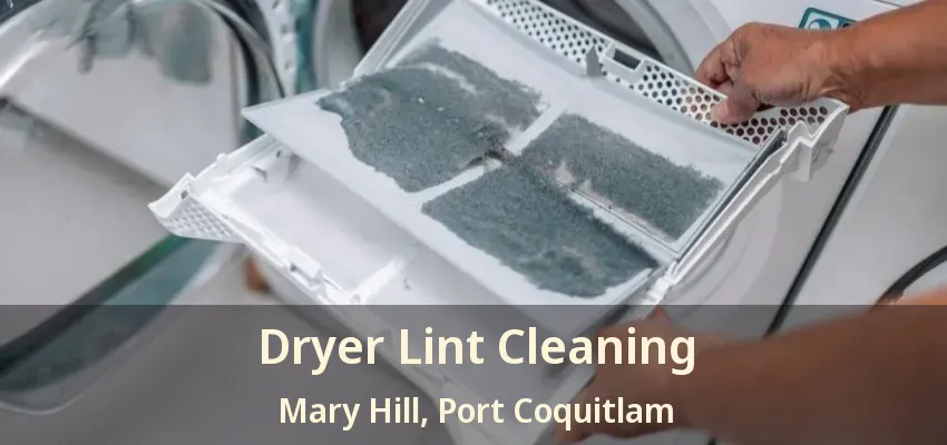 Dryer Lint Cleaning Mary Hill, Port Coquitlam - BC