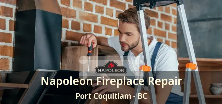 Napoleon Fireplace Repair Port Coquitlam - BC