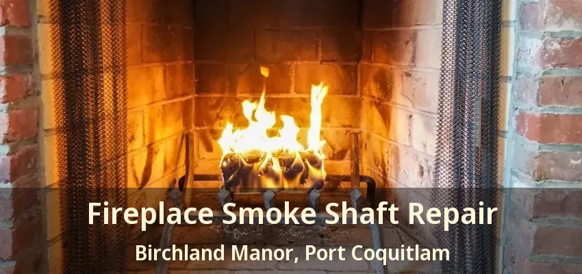 Fireplace Smoke Shaft Repair Birchland Manor, Port Coquitlam - BC
