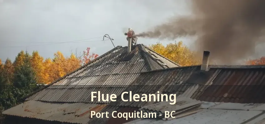 Flue Cleaning Port Coquitlam - BC