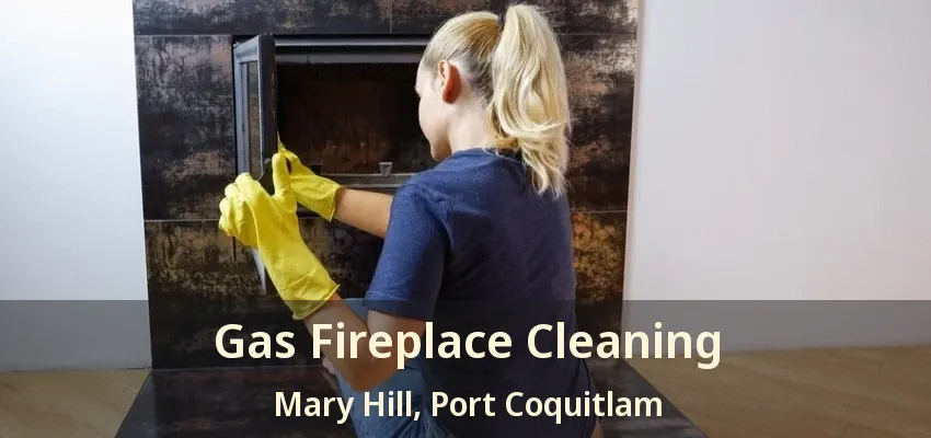 Gas Fireplace Cleaning Mary Hill, Port Coquitlam - BC