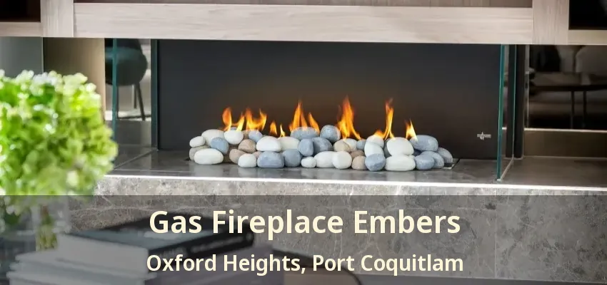 Gas Fireplace Embers Oxford Heights, Port Coquitlam - BC