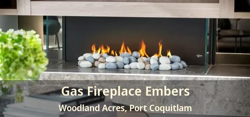 Gas Fireplace Embers Woodland Acres, Port Coquitlam - BC
