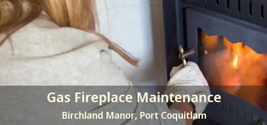 Gas Fireplace Maintenance Birchland Manor, Port Coquitlam - BC