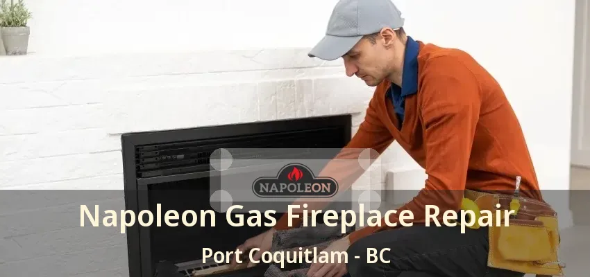 Napoleon Gas Fireplace Repair Port Coquitlam - BC