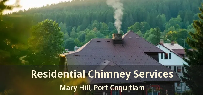Residential Chimney Services Mary Hill, Port Coquitlam - BC