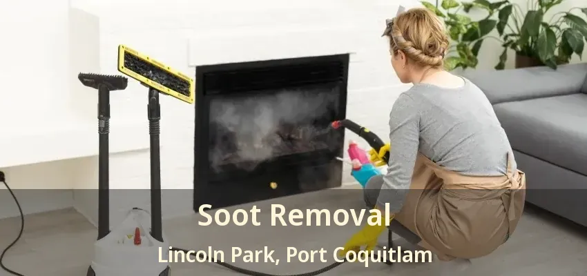 Soot Removal Lincoln Park, Port Coquitlam - BC