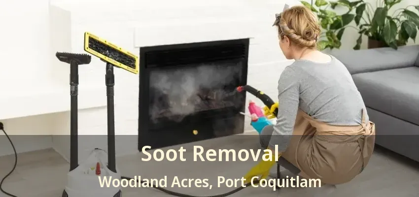 Soot Removal Woodland Acres, Port Coquitlam - BC