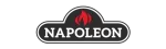 Napoleon Regency Fireplace Repair in Port Coquitlam