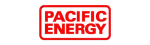 Pacific Energy Regency Fireplace Repair in Port Coquitlam